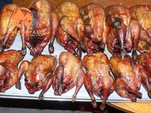 Chim trĩ nướng thơm ngon, thịt có chứa nhiều chất dinh dưỡng tốt cho bà bầu và người già